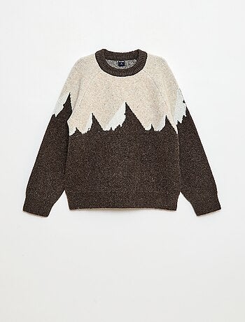 Pull col rond animé