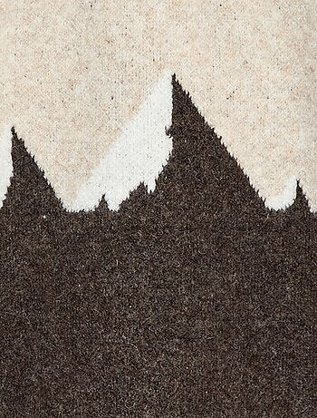 Pull col rond animé