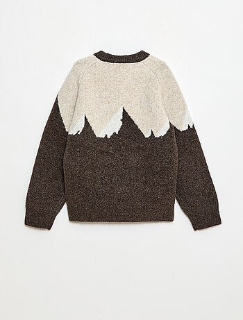 Pull col rond animé