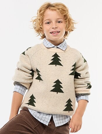 Pull col rond animé