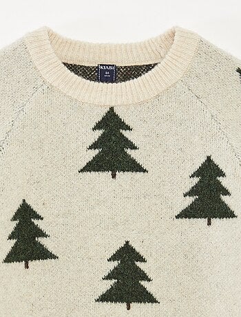 Pull col rond animé