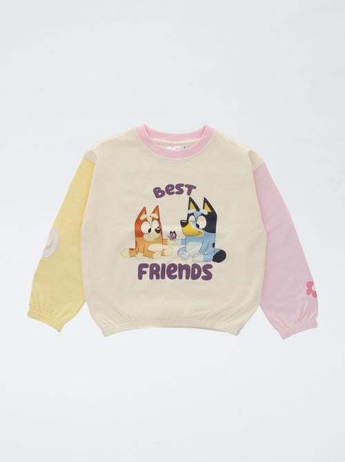 Pull col rond 'Bluey' french terry coton - Kiabi