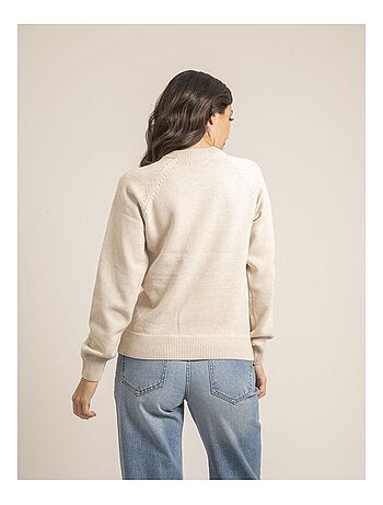 Pull col rond pur coton KORDINE