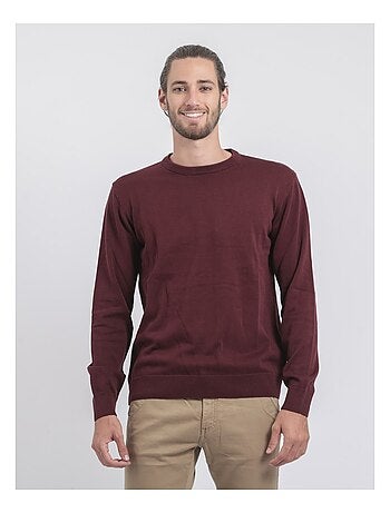 Pull col rond pur coton LADARKO