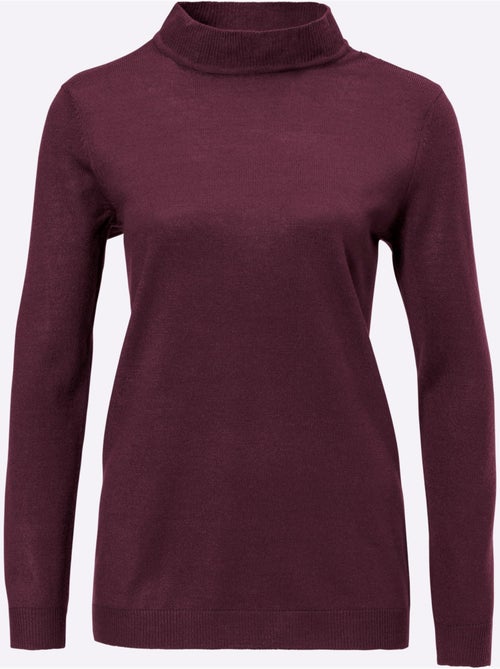 Pull col roulé à manches longues avec bords-côtes et toucher doux - Taille standard - Moda Vilona - Kiabi