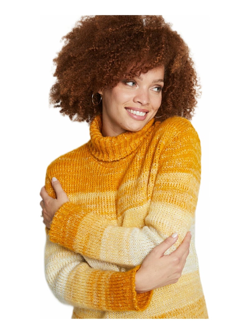 Pull col roulé effet rayures en camaïeu Jaune foncé - Kiabi