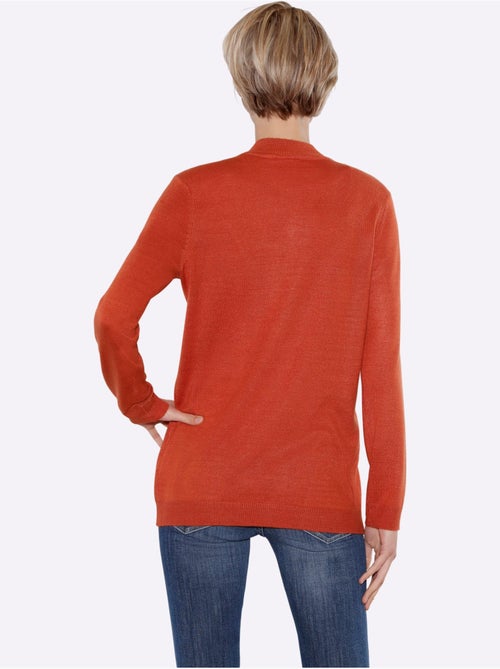 Pull col roulé en douceur avec manches longues et bords-côtes - Taille standard - Moda Vilona - Kiabi