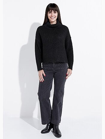Pull col roulé en maille épaisse - AFIBEL