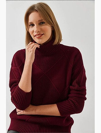 Pull col roulé en maille lucci