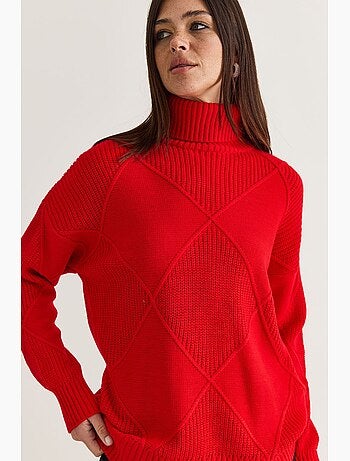 Pull col roulé en maille lucci