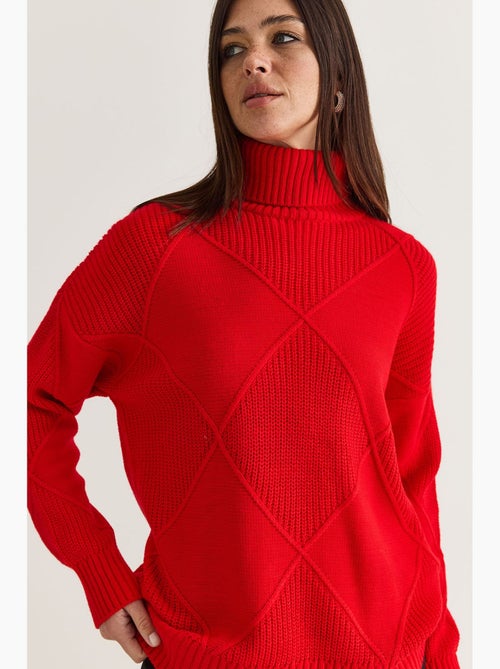 Pull col roulé en maille lucci - Kiabi