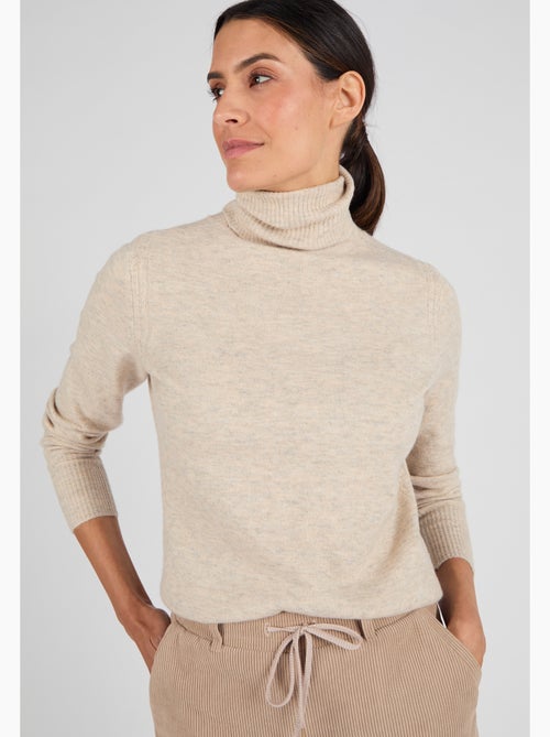 Pull col roulé fine maille Thermolactyl - Damart - Kiabi Pull col roulé fine maille Thermolactyl - Damart - Kiabi