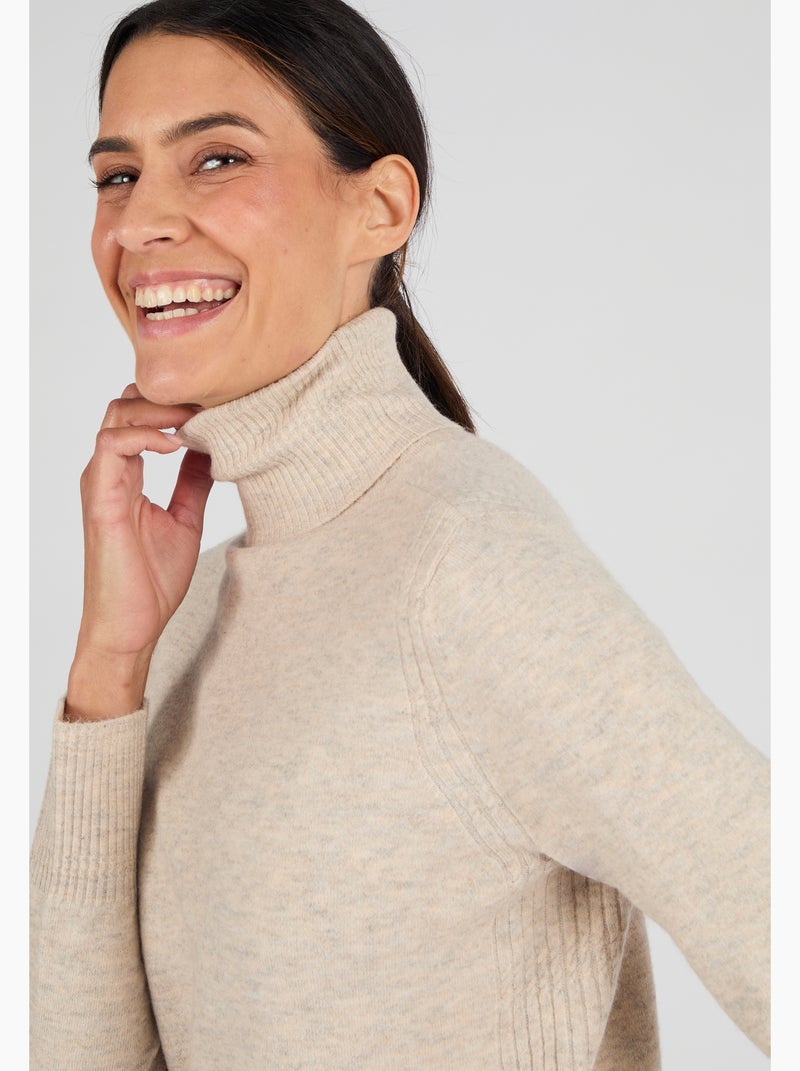 Pull col roulé fine maille Thermolactyl - Damart Marron - Kiabi