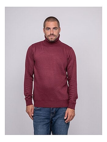 Pull col roulé LARLEQUIN