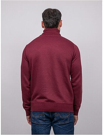 Pull col roulé larlequin