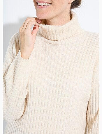 Pull col roulé manches longues descendues - Afibel