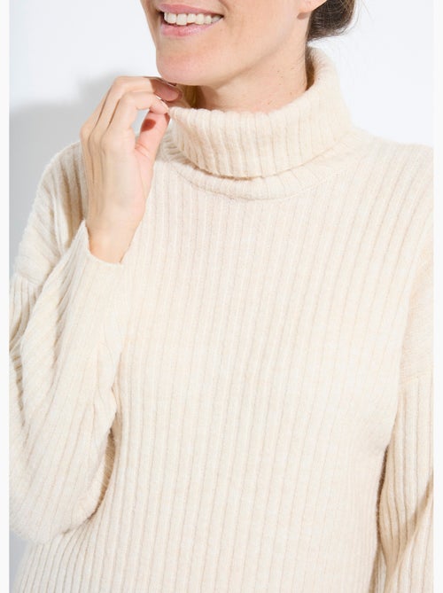 Pull col roulé manches longues descendues - Afibel - Kiabi
