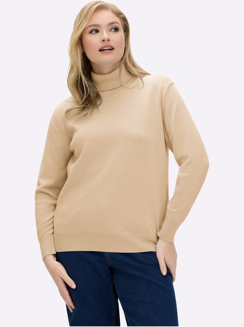 Pull col roulé pur coton et finitions soignées - taille standard - witt - Kiabi