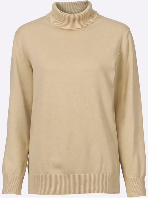 Pull col roulé pur coton et finitions soignées - taille standard - witt - Kiabi