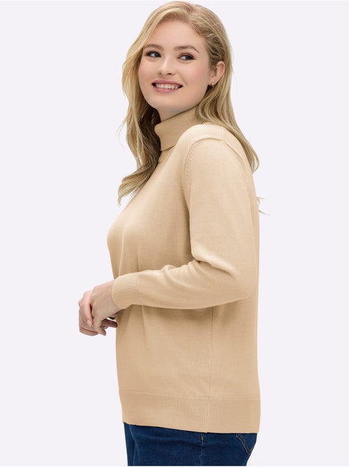 Pull col roulé pur coton et finitions soignées - taille standard - witt - Kiabi