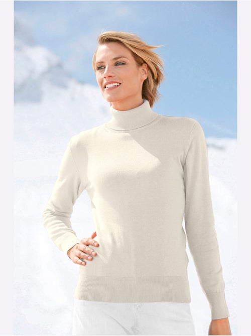 Pull col roulé pur coton et manches longues faciles à assortir - taille standard - witt - Kiabi Pull col roulé pur coton et manches longues faciles à assortir - taille standard - witt - Kiabi