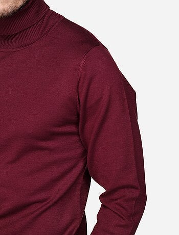 Pull col roulé