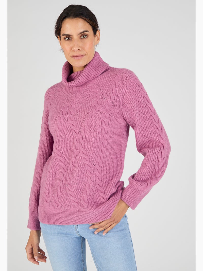 Pull col roulé torsadé Thermolactyl - Damart Violet - Kiabi