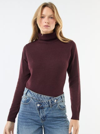 Pull col roulé uni