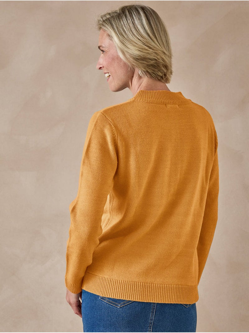Pull col tunisien - DAXON Miel - Kiabi