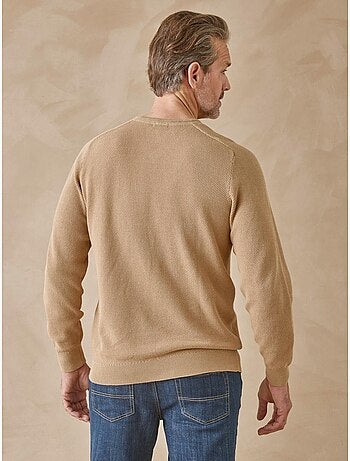 Pull col V pur coton