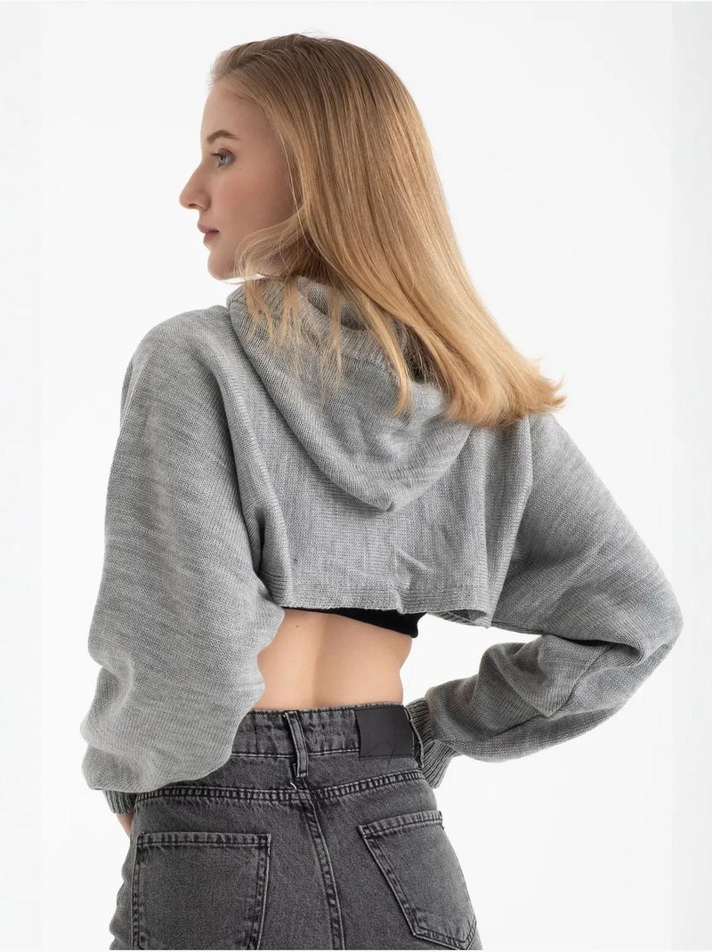 Pull court à capuche Gris - Kiabi