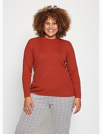 Pull court col montant maille côtelée - Afibel