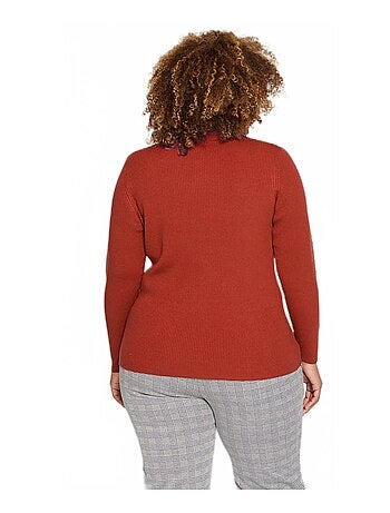 Pull court col montant maille côtelée - Afibel