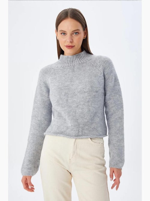 Pull court en maille texturée femme mixray - Kiabi Pull court en maille texturée femme mixray - Kiabi