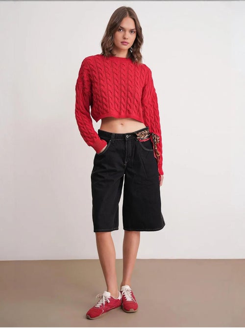 Pull court épais avec motif tresse mixray - Kiabi Pull court épais avec motif tresse mixray - Kiabi