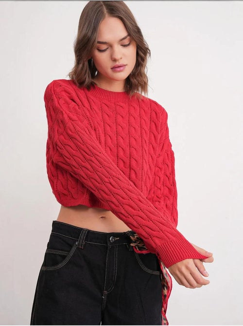 Pull court épais avec motif tresse mixray - Kiabi Pull court épais avec motif tresse mixray - Kiabi