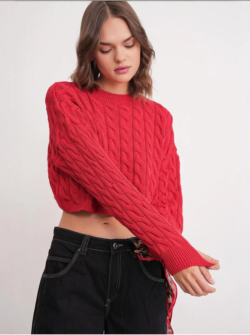 Pull court épais avec motif tresse mixray Rouge - Kiabi