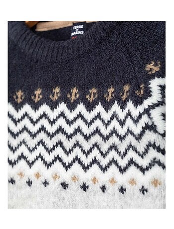 Pull de Noël - Terre de Marins