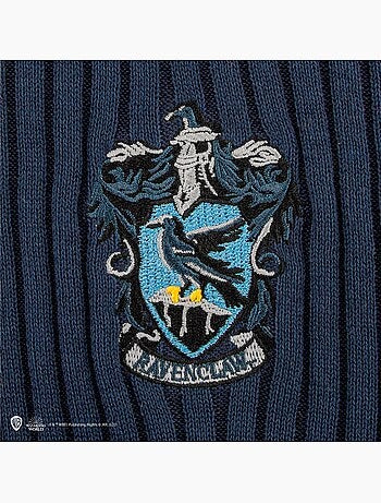Pull de quidditch serdaigle - harry potter
