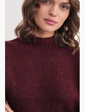 Pull demi-col roulé en maille épaisse mixray