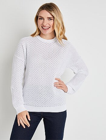 Pull doux brillant mélange coton col rond - Afibel
