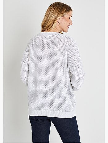 Pull doux brillant mélange coton col rond - Afibel