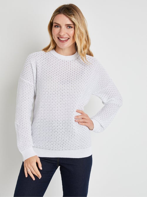 Pull doux brillant mélange coton col rond - Afibel - Kiabi