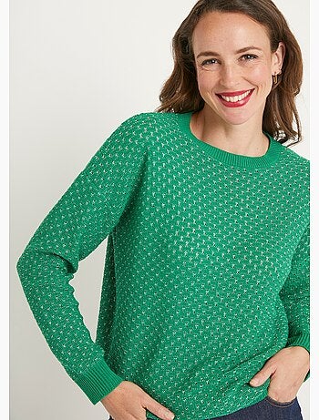 Pull doux brillant mélange coton col rond - Afibel