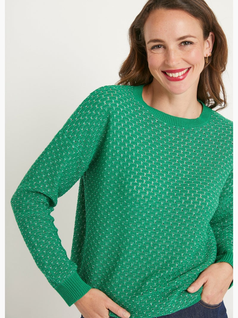 Pull doux brillant mélange coton col rond - Afibel Vert - Kiabi