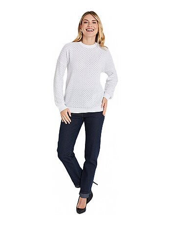 Pull doux brillant mélange coton col rond