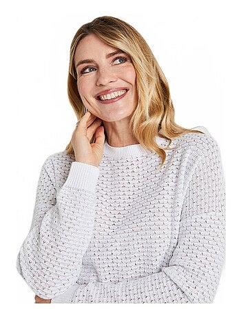 Pull doux brillant mélange coton col rond