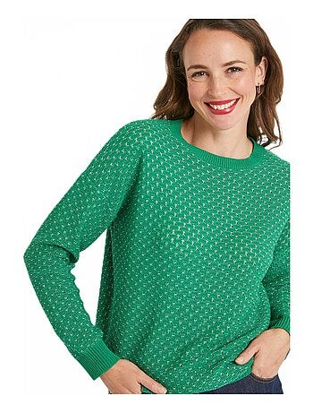 Pull doux brillant mélange coton col rond
