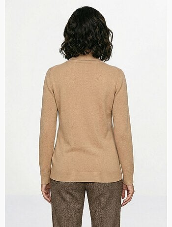 Pull doux col roulé manches longues - Afibel