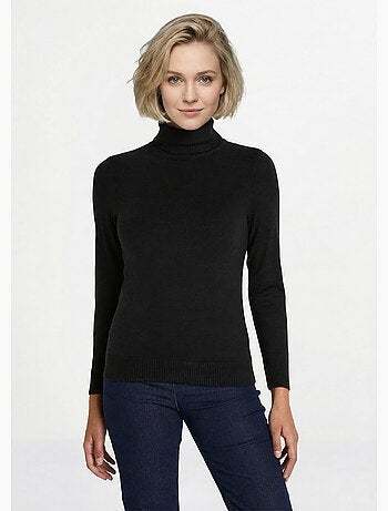 Pull doux col roulé manches longues - Afibel